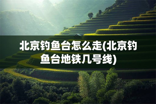 北京钓鱼台怎么走(北京钓鱼台地铁几号线)