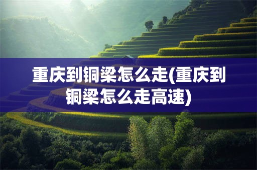 重庆到铜梁怎么走(重庆到铜梁怎么走高速)