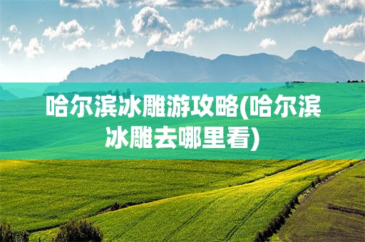 哈尔滨冰雕游攻略(哈尔滨冰雕去哪里看)