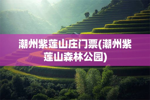 潮州紫莲山庄门票(潮州紫莲山森林公园)