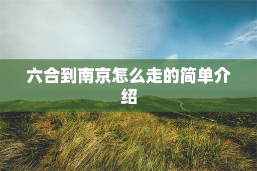 六合到南京怎么走的简单介绍