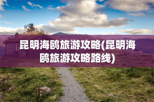 昆明海鸥旅游攻略(昆明海鸥旅游攻略路线)