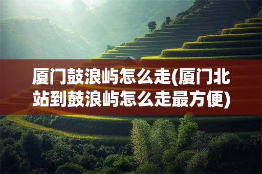 厦门鼓浪屿怎么走(厦门北站到鼓浪屿怎么走最方便)