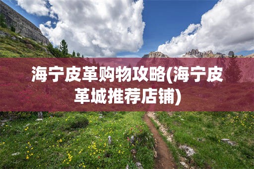 海宁皮革购物攻略(海宁皮革城推荐店铺)