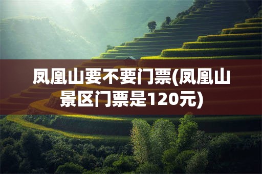 凤凰山要不要门票(凤凰山景区门票是120元)
