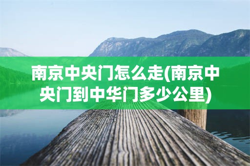 南京中央门怎么走(南京中央门到中华门多少公里)