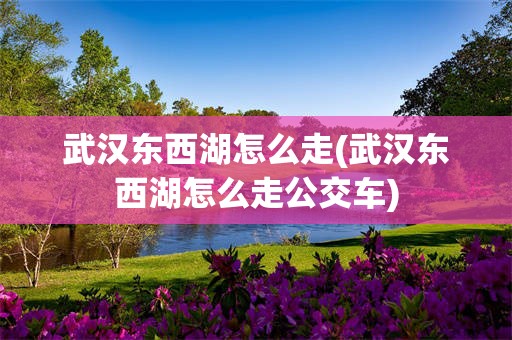 武汉东西湖怎么走(武汉东西湖怎么走公交车)