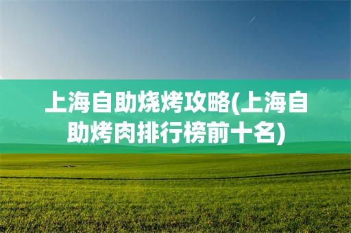 上海自助烧烤攻略(上海自助烤肉排行榜前十名)