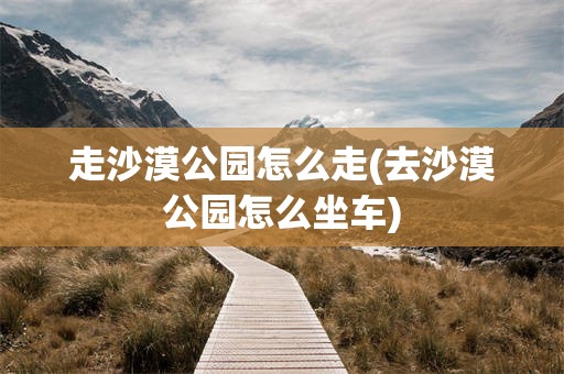 走沙漠公园怎么走(去沙漠公园怎么坐车)