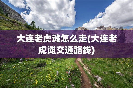 大连老虎滩怎么走(大连老虎滩交通路线)