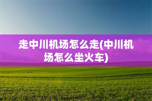 走中川机场怎么走(中川机场怎么坐火车)