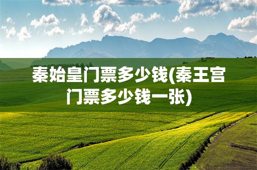 秦始皇门票多少钱(秦王宫门票多少钱一张)