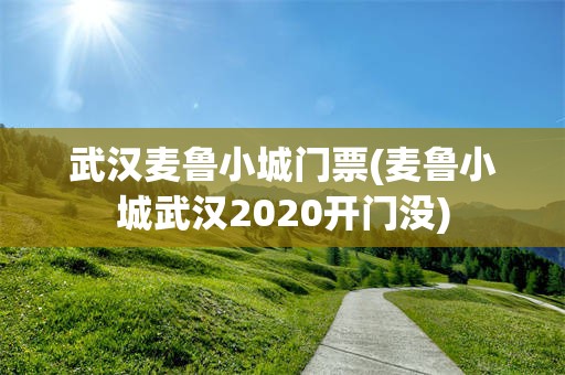 武汉麦鲁小城门票(麦鲁小城武汉2020开门没)
