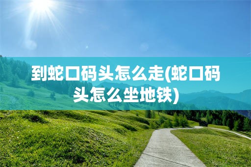 到蛇口码头怎么走(蛇口码头怎么坐地铁)