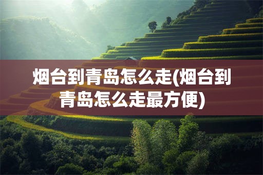 烟台到青岛怎么走(烟台到青岛怎么走最方便)