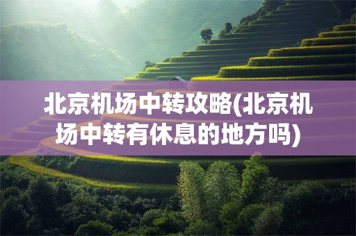 北京机场中转攻略(北京机场中转有休息的地方吗)