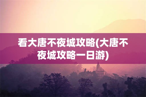 看大唐不夜城攻略(大唐不夜城攻略一日游)