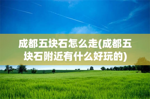 成都五块石怎么走(成都五块石附近有什么好玩的)
