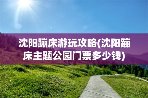 沈阳蹦床游玩攻略(沈阳蹦床主题公园门票多少钱)