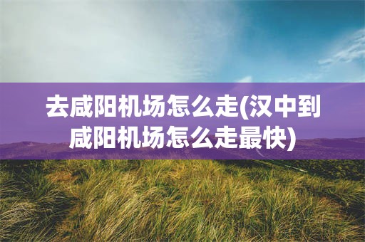 去咸阳机场怎么走(汉中到咸阳机场怎么走最快)