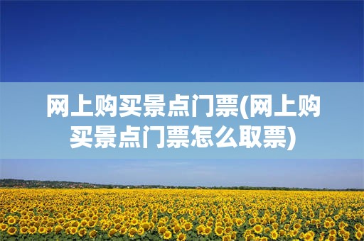 网上购买景点门票(网上购买景点门票怎么取票)