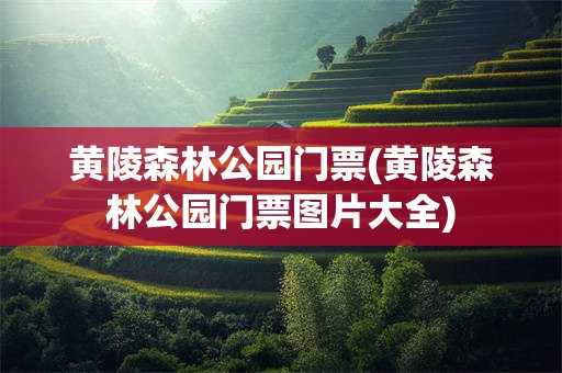 黄陵森林公园门票(黄陵森林公园门票图片大全)