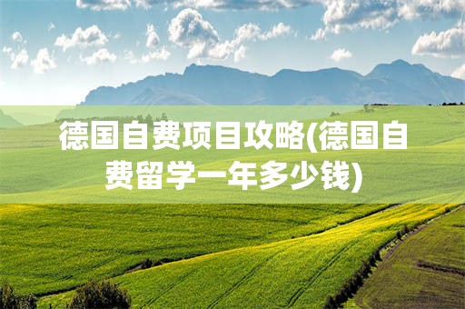 德国自费项目攻略(德国自费留学一年多少钱)