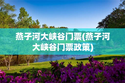 燕子河大峡谷门票(燕子河大峡谷门票政策)