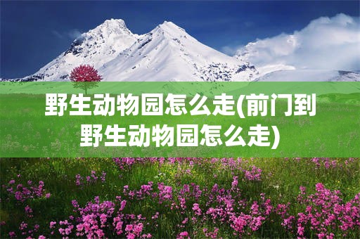 野生动物园怎么走(前门到野生动物园怎么走)