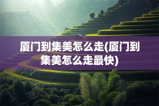 厦门到集美怎么走(厦门到集美怎么走最快)
