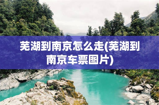 芜湖到南京怎么走(芜湖到南京车票图片)