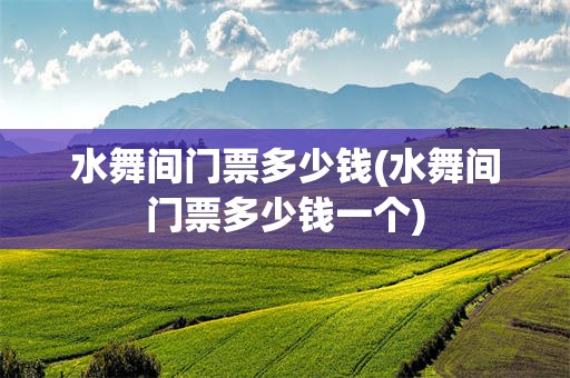 水舞间门票多少钱(水舞间门票多少钱一个)