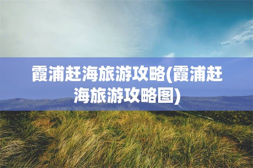 霞浦赶海旅游攻略(霞浦赶海旅游攻略图)