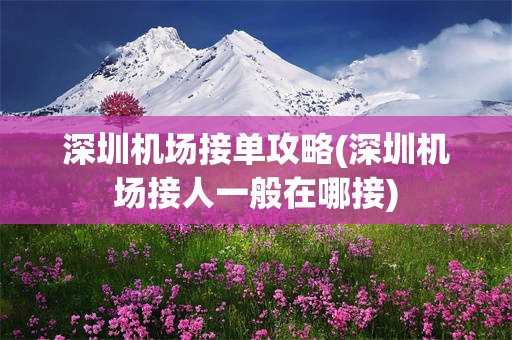 深圳机场接单攻略(深圳机场接人一般在哪接)