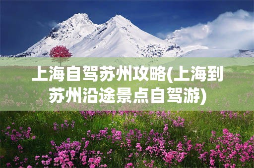 上海自驾苏州攻略(上海到苏州沿途景点自驾游)