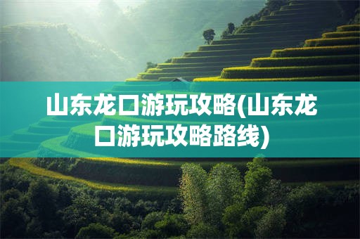 山东龙口游玩攻略(山东龙口游玩攻略路线)