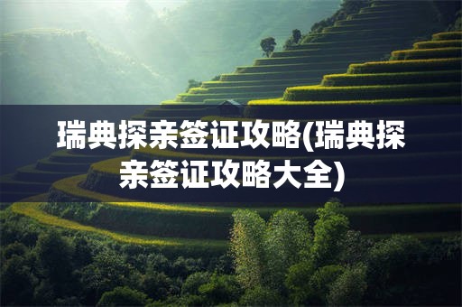 瑞典探亲签证攻略(瑞典探亲签证攻略大全)
