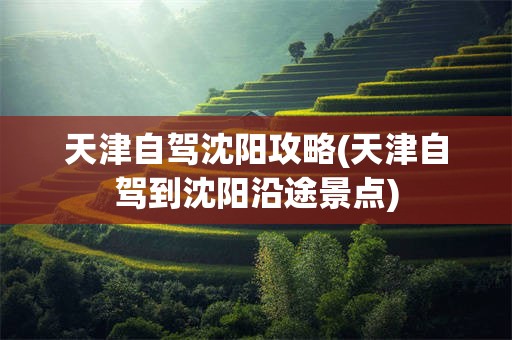 天津自驾沈阳攻略(天津自驾到沈阳沿途景点)