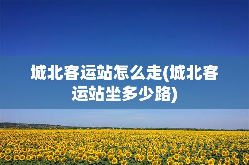 城北客运站怎么走(城北客运站坐多少路)
