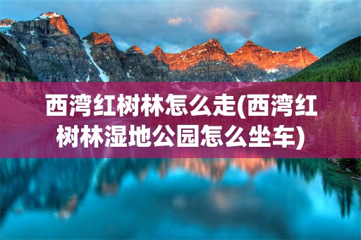 西湾红树林怎么走(西湾红树林湿地公园怎么坐车)