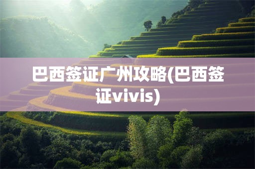 巴西签证广州攻略(巴西签证vivis)