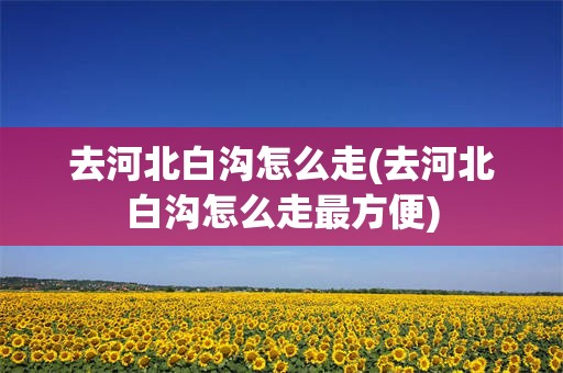去河北白沟怎么走(去河北白沟怎么走最方便)