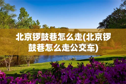 北京锣鼓巷怎么走(北京锣鼓巷怎么走公交车)