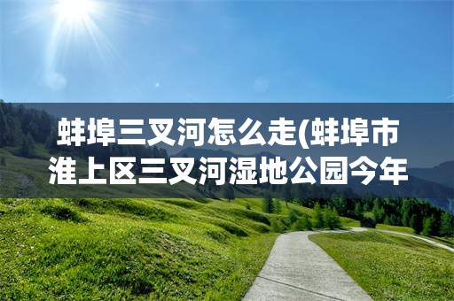 蚌埠三叉河怎么走(蚌埠市淮上区三叉河湿地公园今年如何规划)
