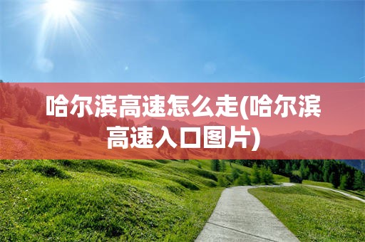 哈尔滨高速怎么走(哈尔滨高速入口图片)