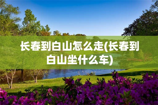 长春到白山怎么走(长春到白山坐什么车)