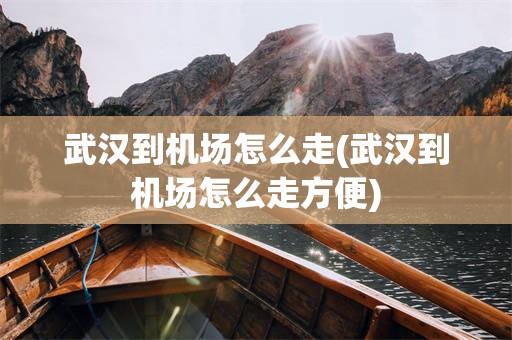 武汉到机场怎么走(武汉到机场怎么走方便)