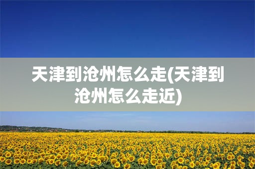 天津到沧州怎么走(天津到沧州怎么走近)