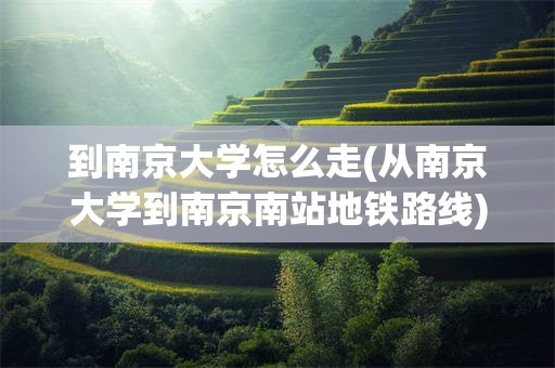 到南京大学怎么走(从南京大学到南京南站地铁路线)