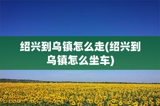 绍兴到乌镇怎么走(绍兴到乌镇怎么坐车)